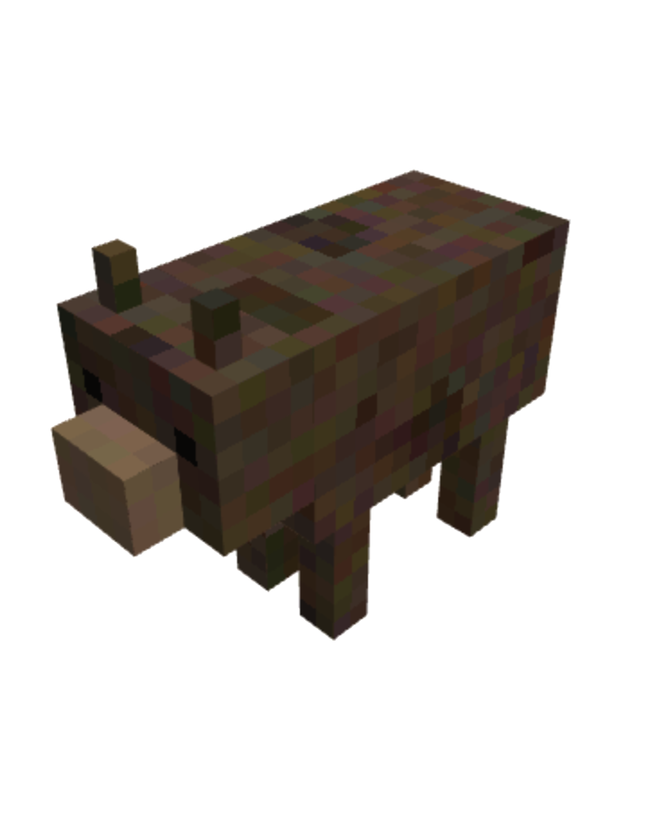 bear