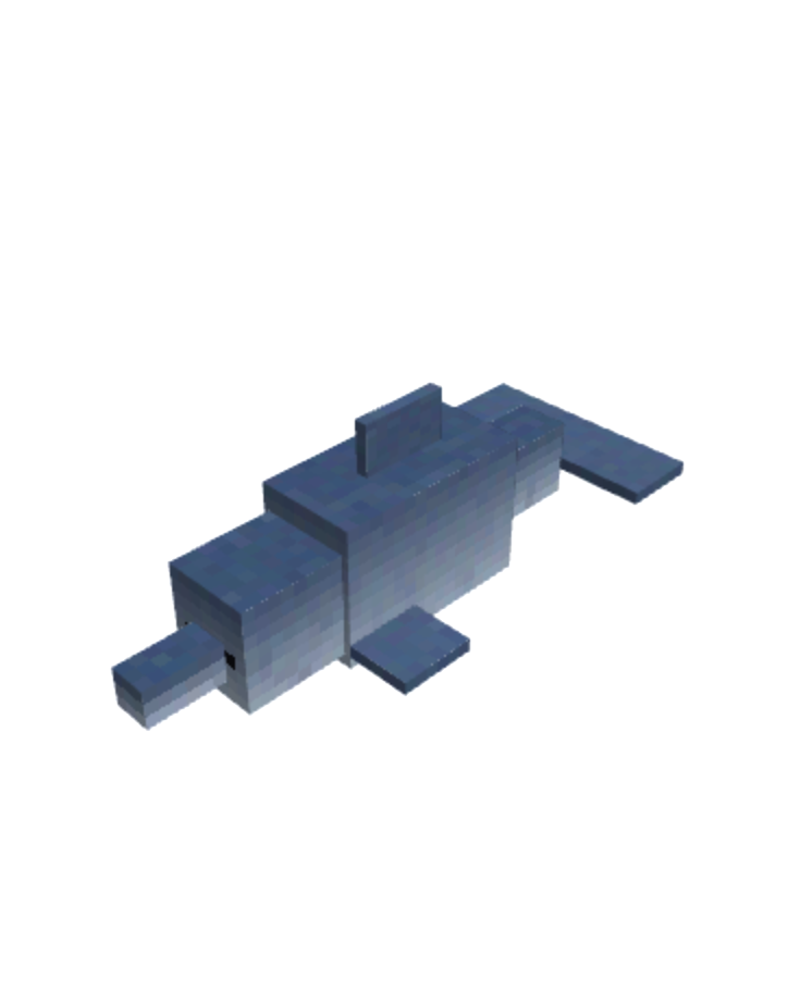 dolphin