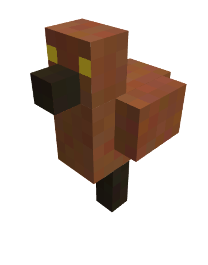 hawk