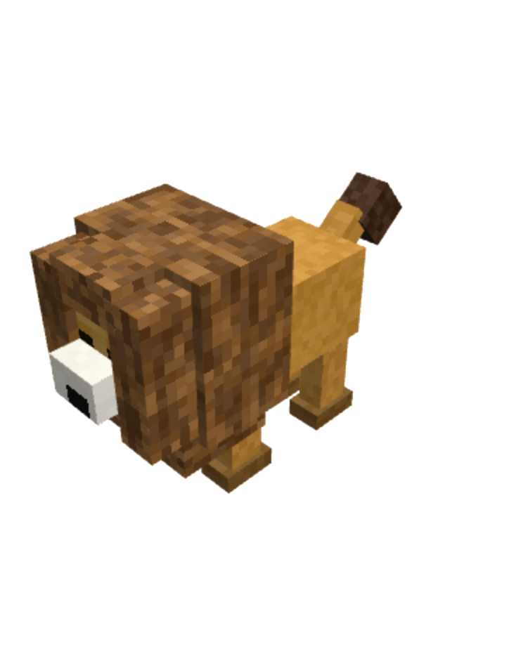 lion