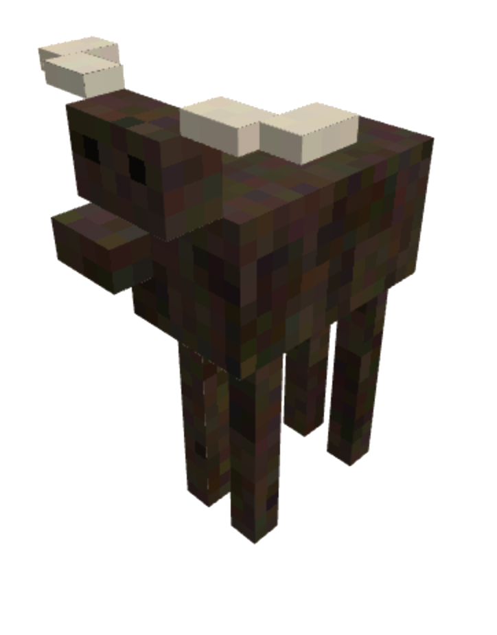 moose