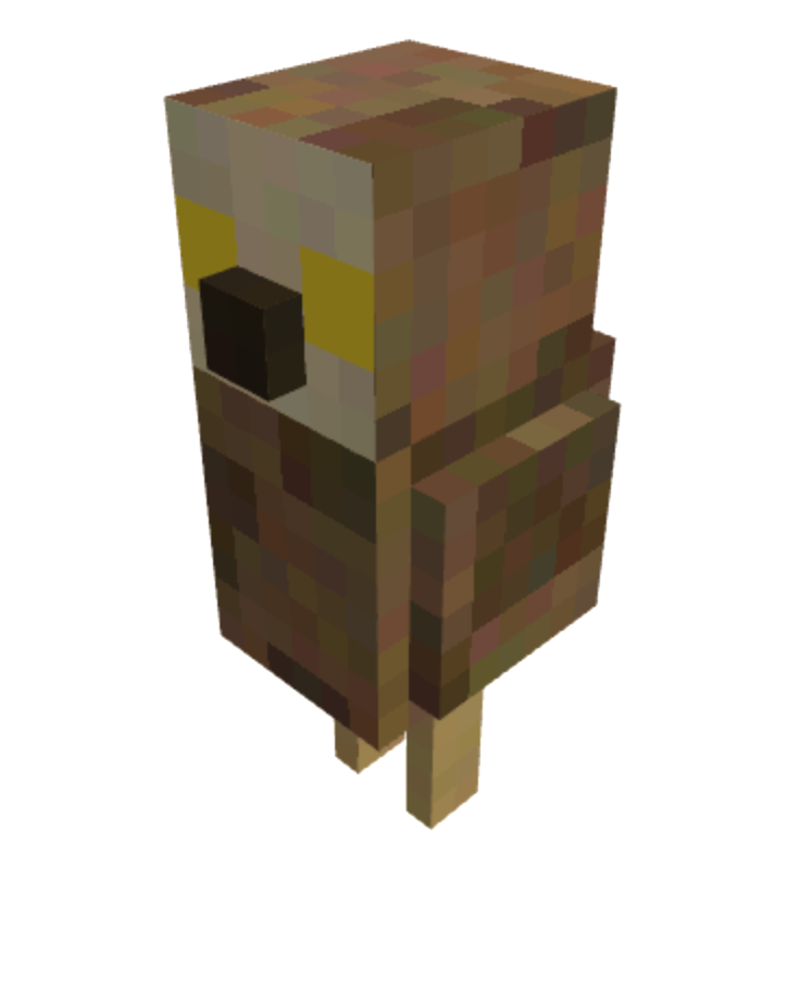 owl
