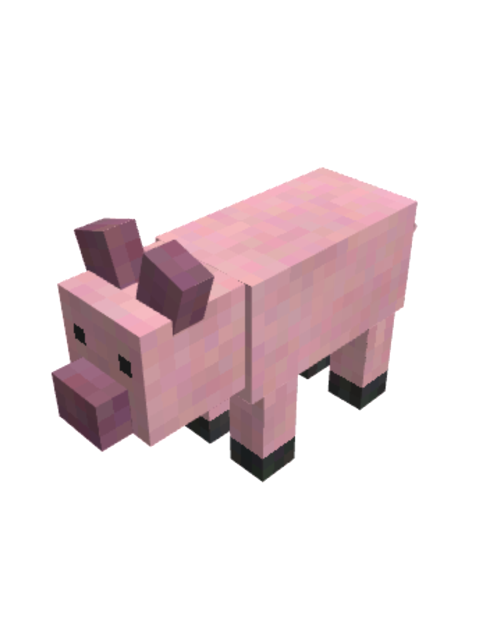 pig