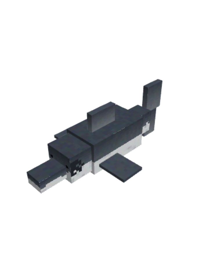shark