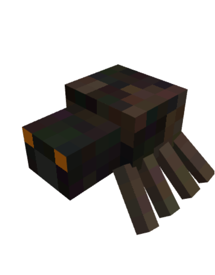 spider