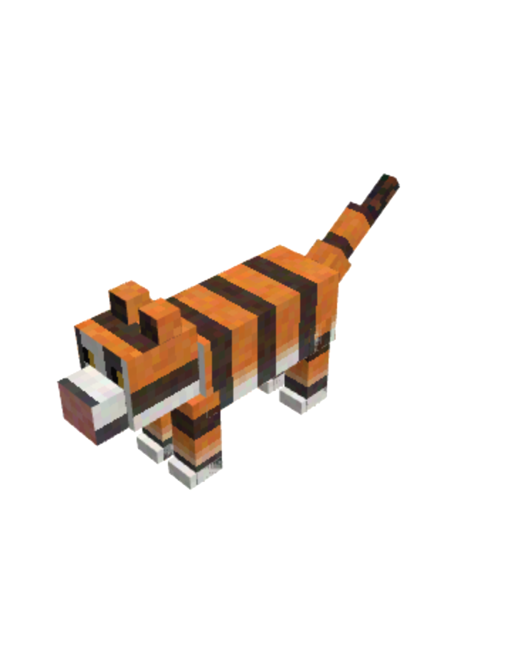 tiger