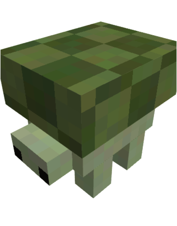 turtle