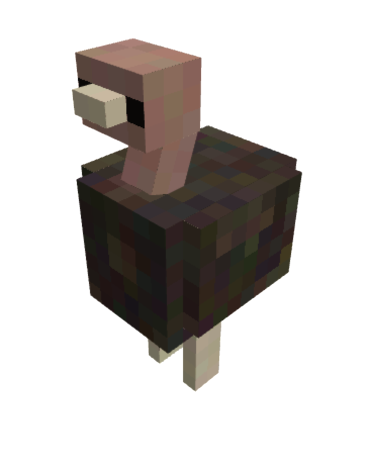 vulture